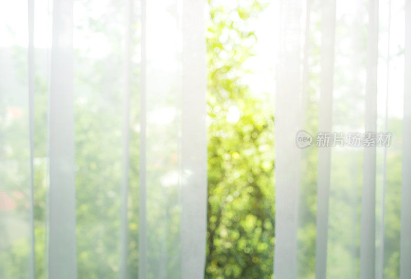 模糊的白色窗帘与窗户视图/树花园